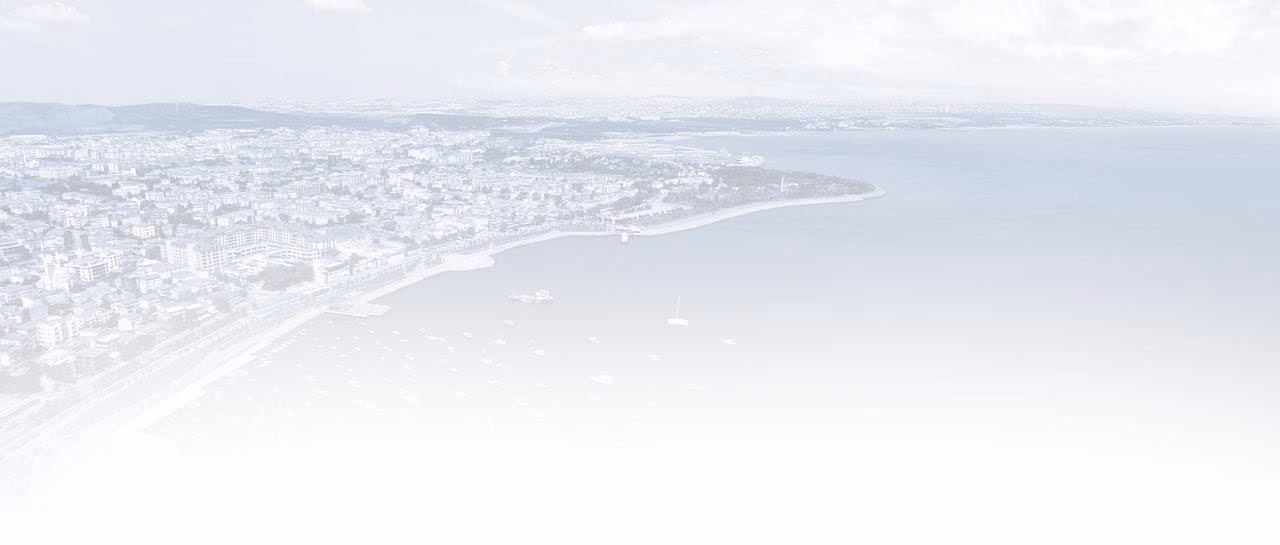 Ara Sayfa Background