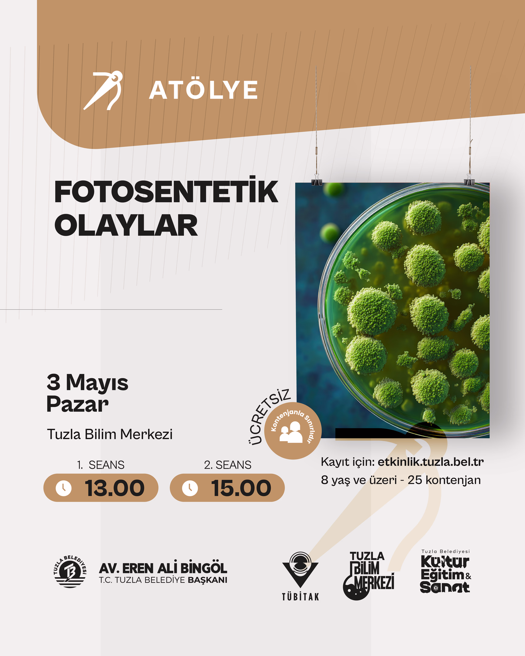 Fotosentetik Olaylar