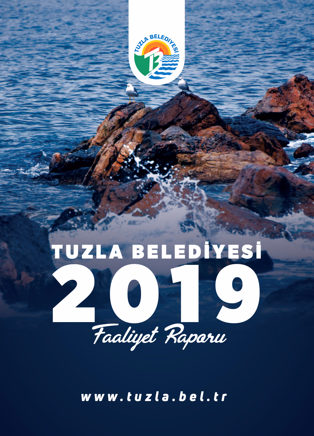 2019 Yılı Faaliyet Raporu