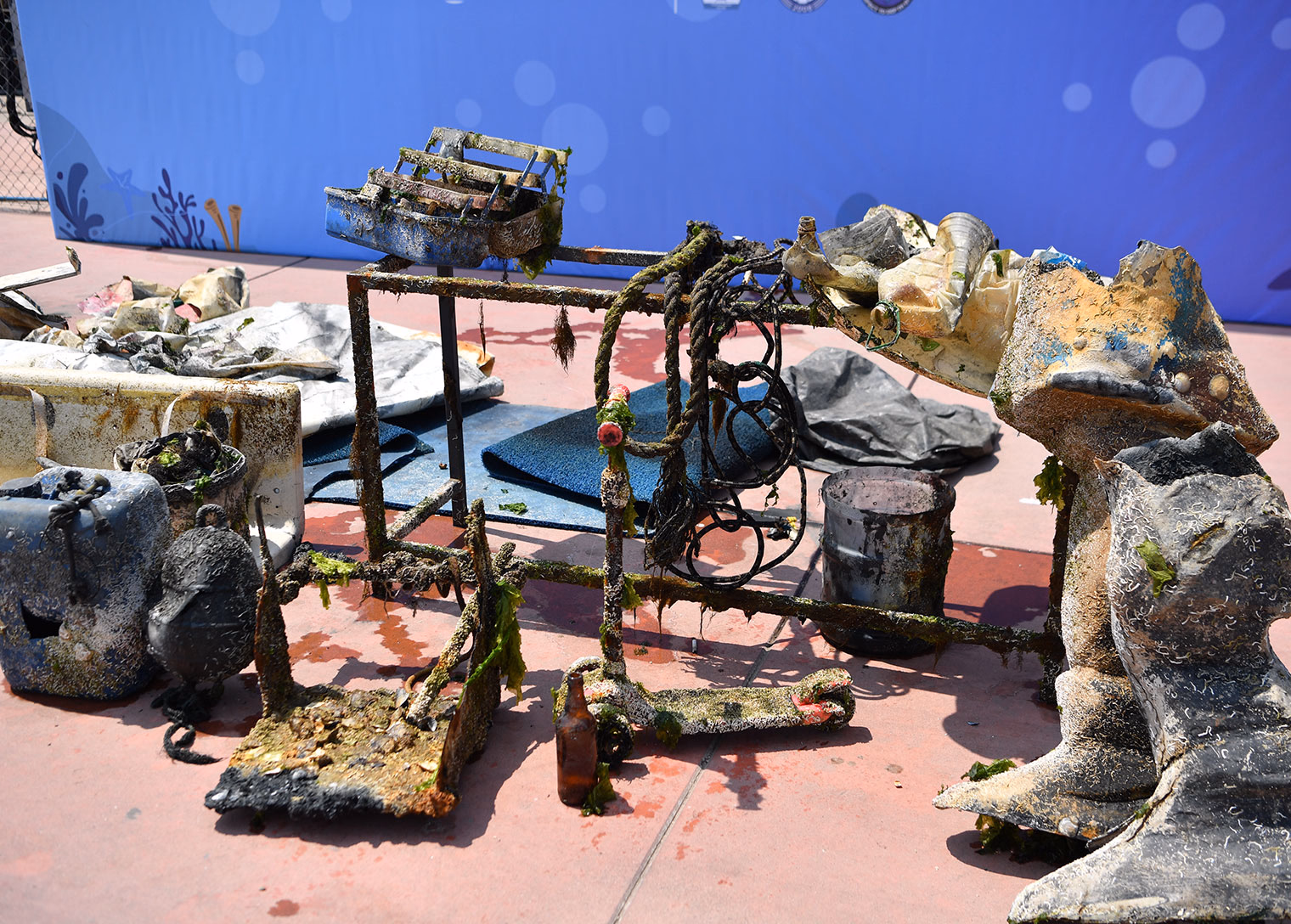 Dalgıçlar Tuzla'dan haykırdı: Marmara temiz kalsın balıklar nefes alsın - Görsel 4