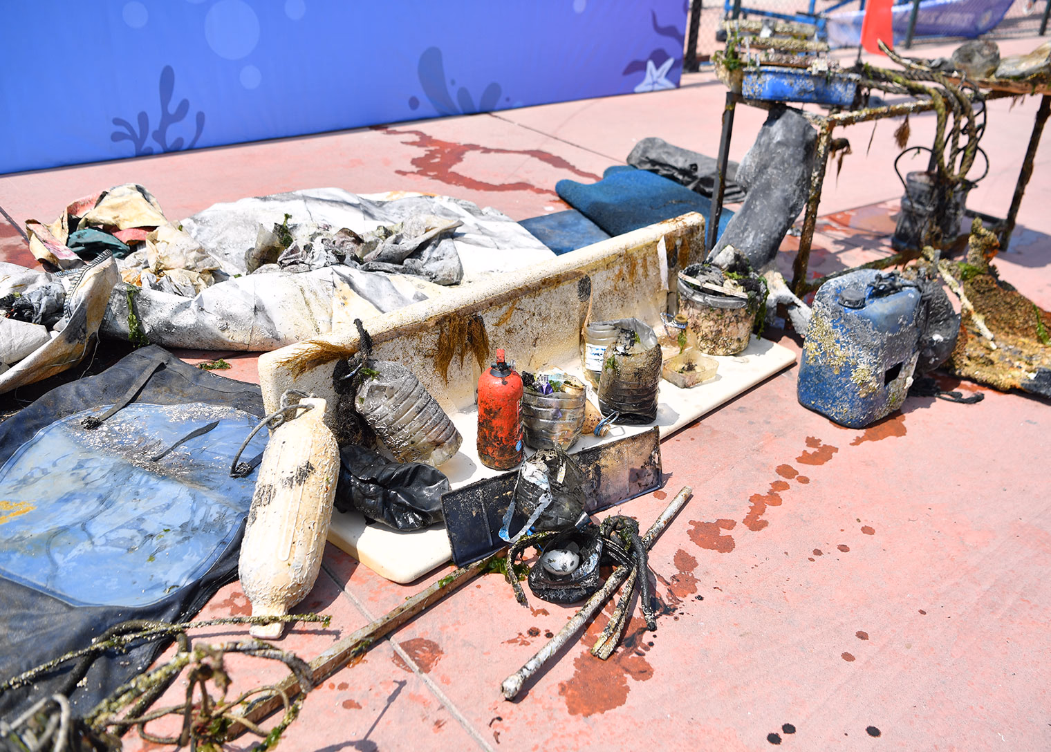 Dalgıçlar Tuzla'dan haykırdı: Marmara temiz kalsın balıklar nefes alsın - Görsel 2