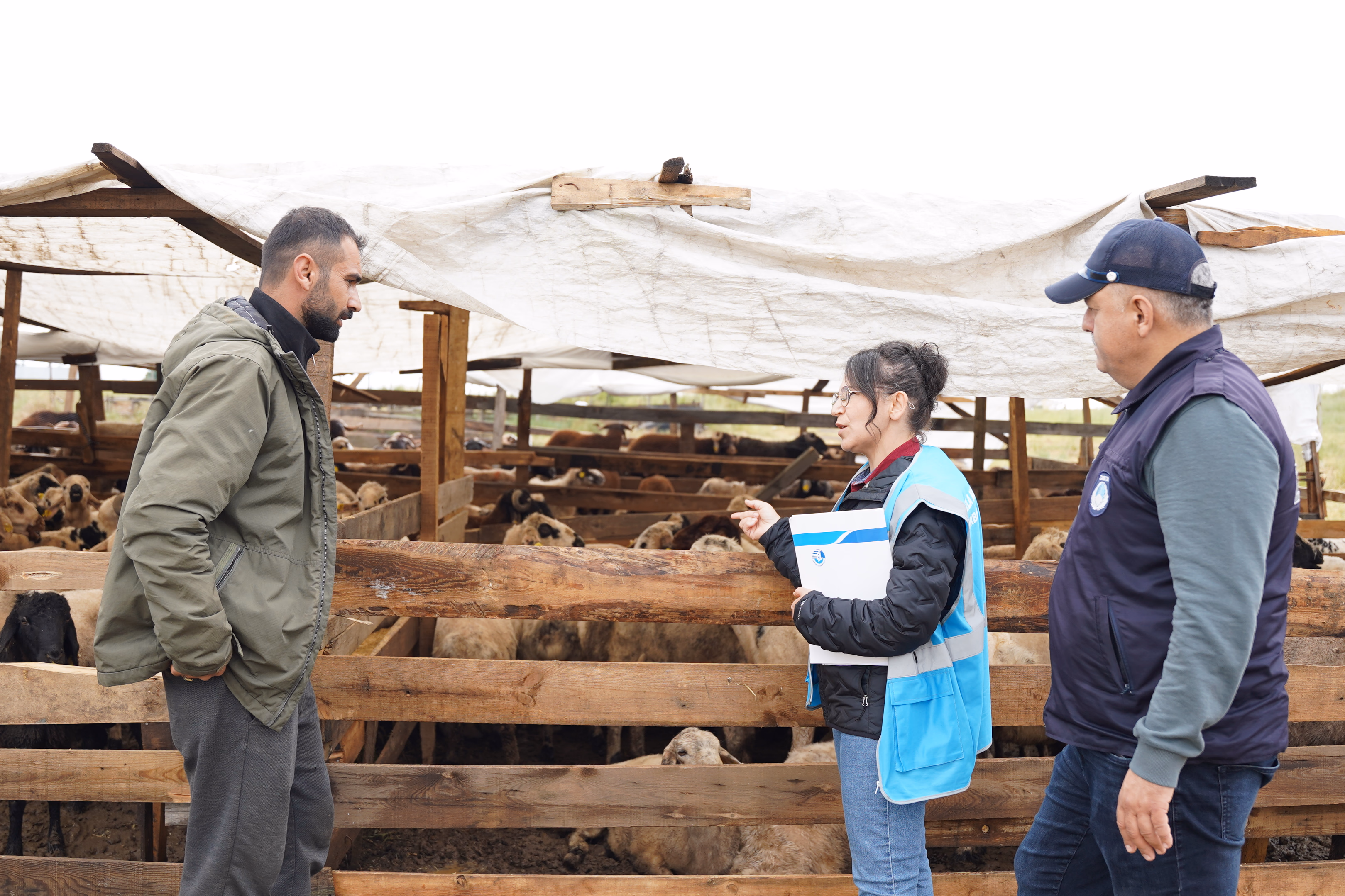 Tuzla'da kurban pazarlarında sıkı denetim: 'Kaçan boğa timi' kuruldu    - Görsel 3