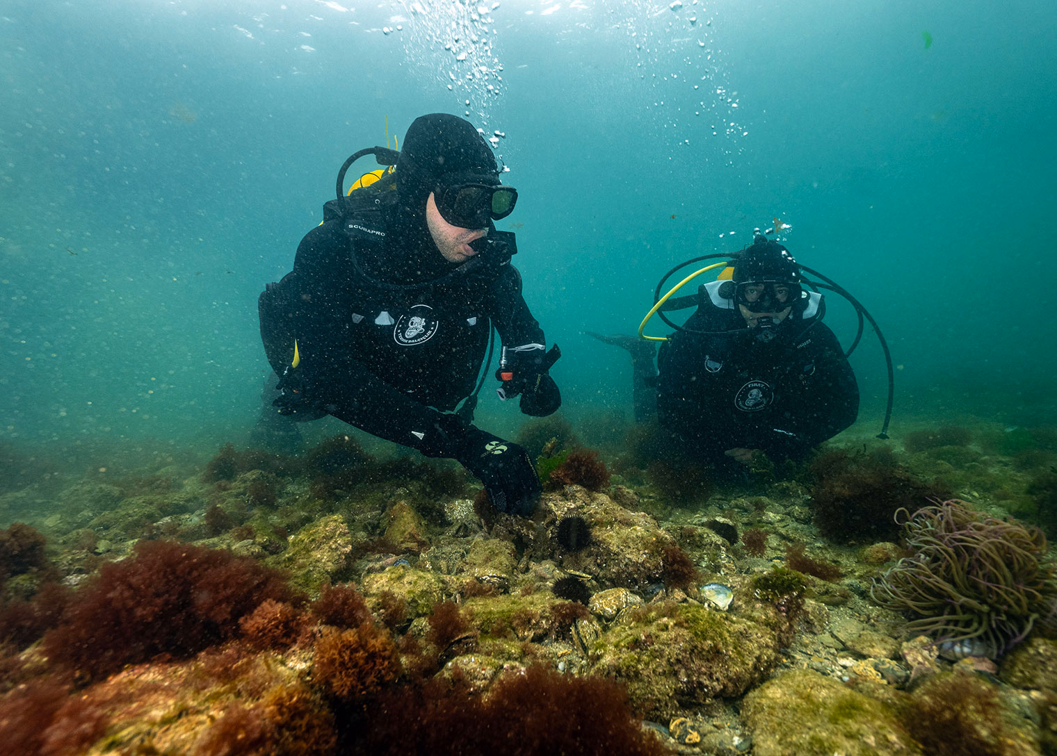 Başkan Bingöl daldı keşfi yerinde gördü - Görsel 4