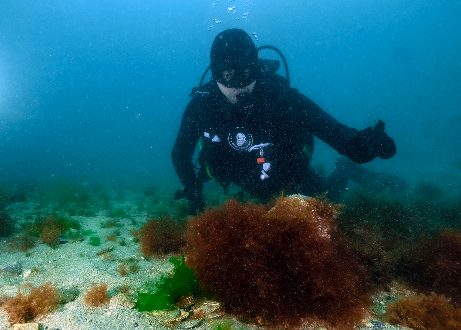 Başkan Bingöl daldı keşfi yerinde gördü - Görsel 2