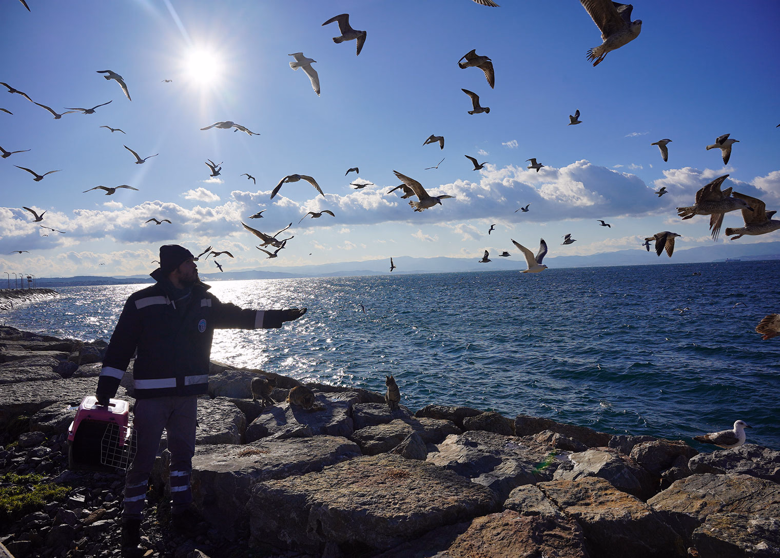 Tuzla Belediyesi fırtına sonrası can dostlarını yalnız bırakmadı - Görsel 5