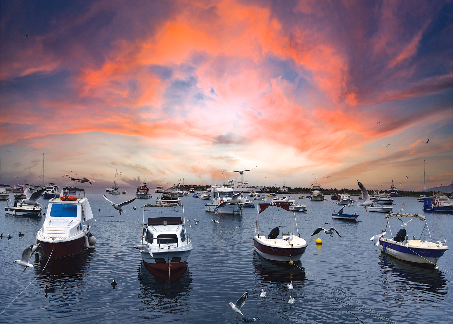 Tuzla il olmaya aday ilçeler arasında öne çıktı - Görsel 5