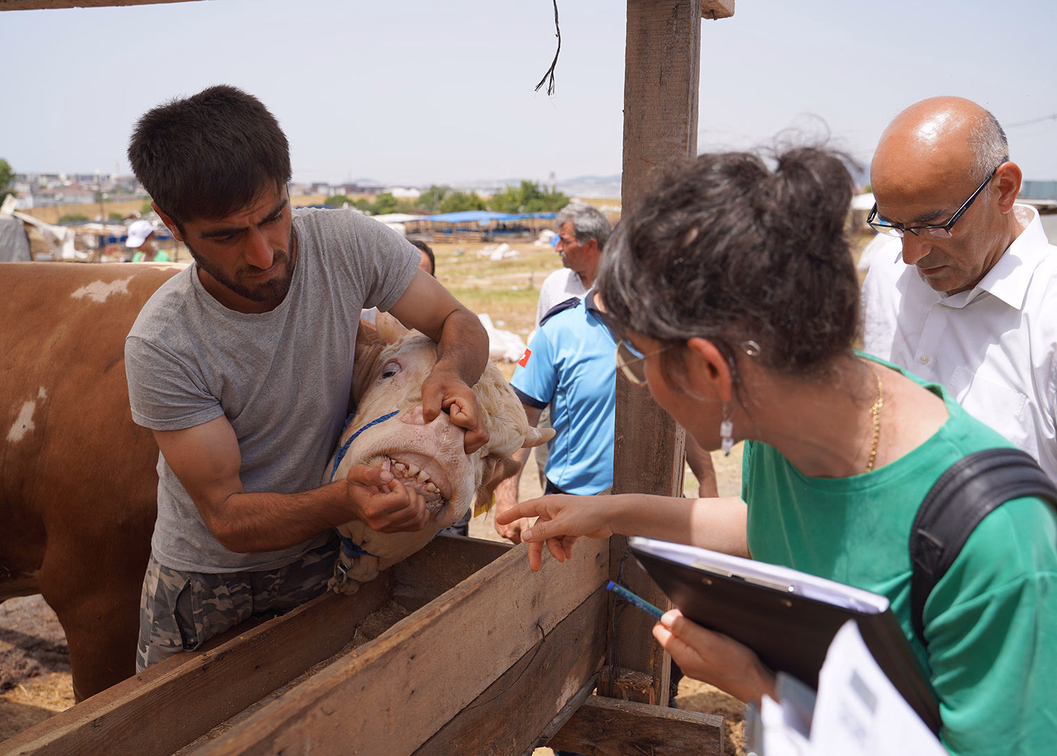 Tuzla Belediyesi Ekipleri, İlçedeki Kurban Pazarlarını Bayrama Hazırlıyor