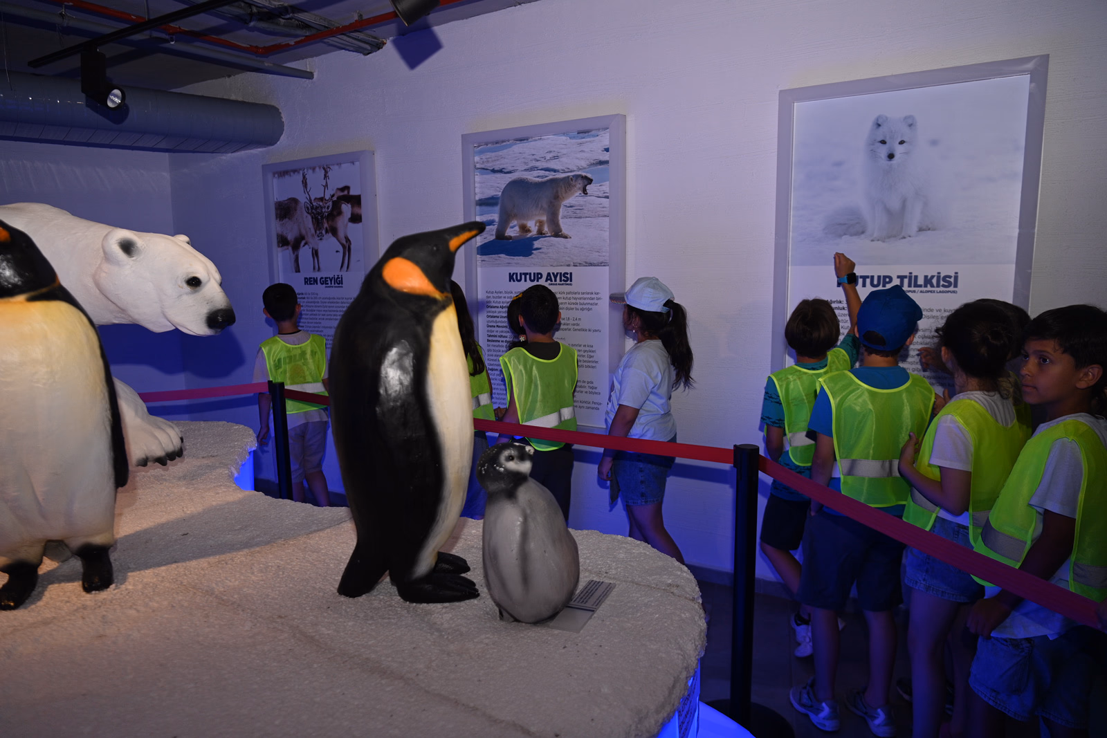 Türkiye’nin ilk Kutup Bilim Evi depremzede öğrencileri ağırladı - Fotoğraf 9