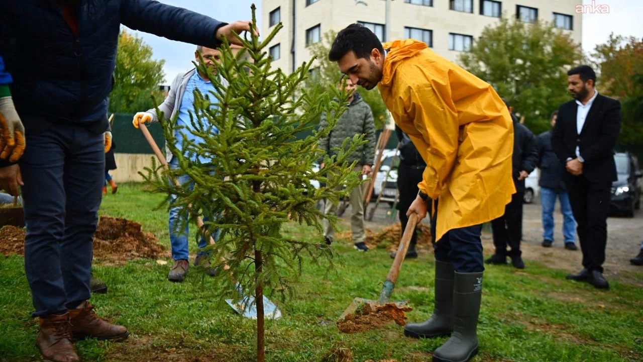 Havasına, suyuna; taşına toprağına...