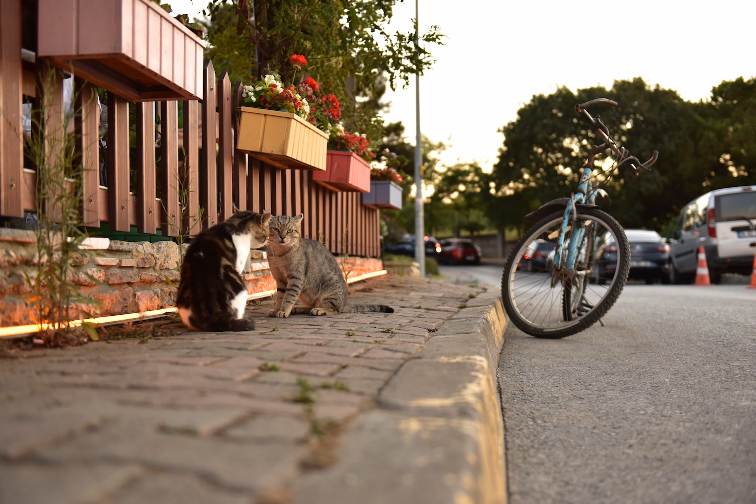 Postane Mahallesi - 21