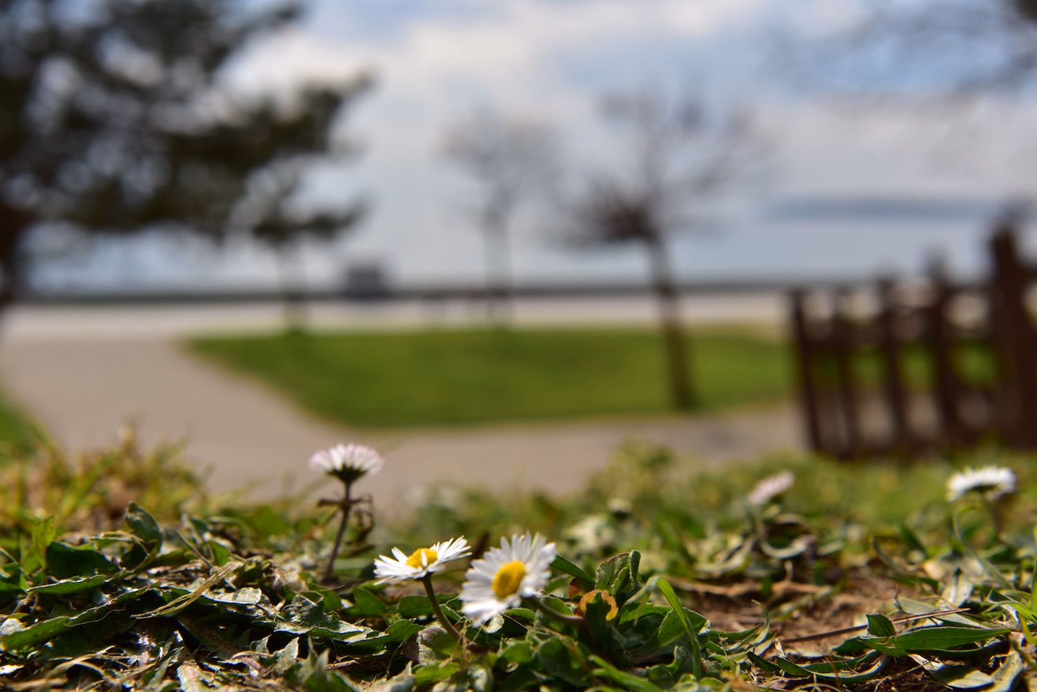 Postane Mahallesi - 28