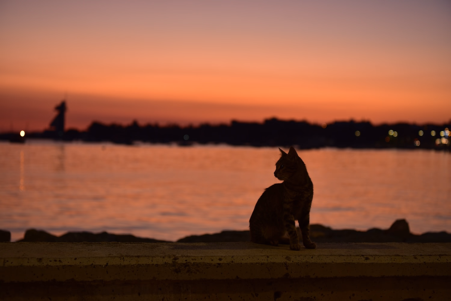 Postane Mahallesi - 39