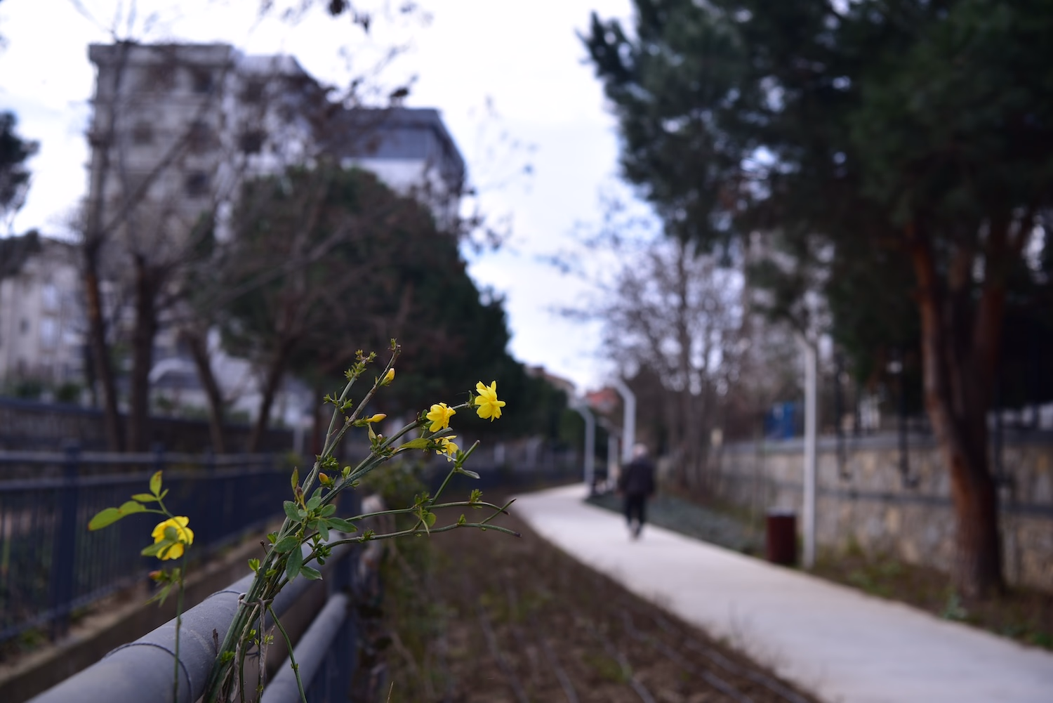 İstasyon Mahallesi - 1