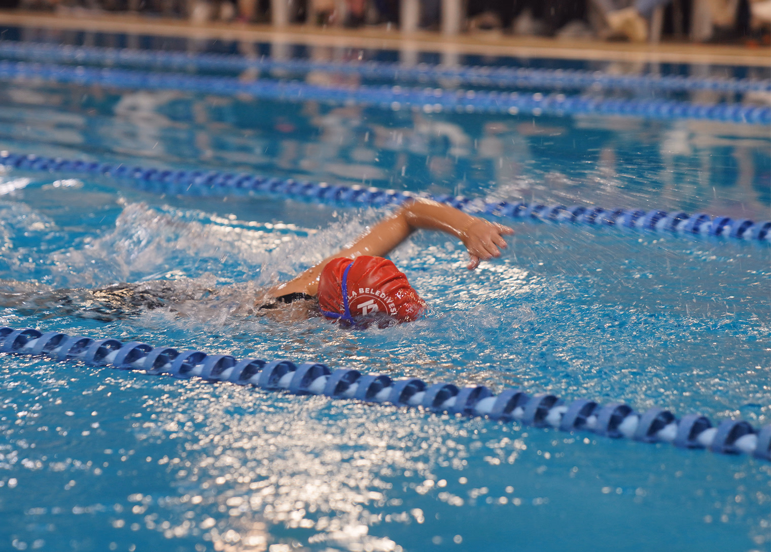  Tuzla Belediyesi Şelale Eğitim Parkı Kadın ve Erkek Yüzme Havuzları